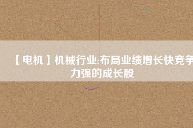 【電機(jī)】機(jī)械行業(yè):布局業(yè)績(jī)?cè)鲩L快競(jìng)爭(zhēng)力強(qiáng)的成長股
          