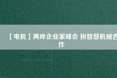 【電機】兩岸企業(yè)家峰會 拚智慧機械合作
          