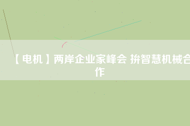 【電機】兩岸企業(yè)家峰會 拚智慧機械合作
          