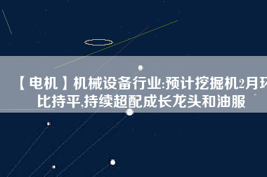 【電機】機械設備行業(yè):預計挖掘機2月環(huán)比持平,持續(xù)超配成長龍頭和油服
          