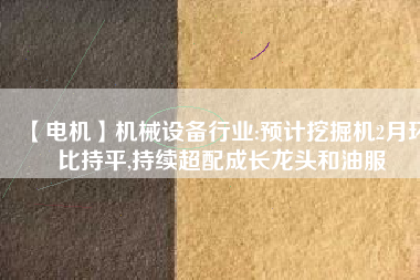 【電機】機械設備行業(yè):預計挖掘機2月環(huán)比持平,持續(xù)超配成長龍頭和油服
          