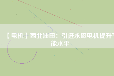 【電機(jī)】西北油田：引進(jìn)永磁電機(jī)提升節(jié)能水平
          