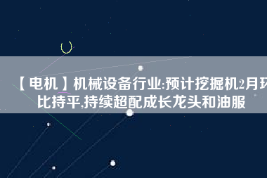 【電機】機械設備行業(yè):預計挖掘機2月環(huán)比持平,持續(xù)超配成長龍頭和油服
          