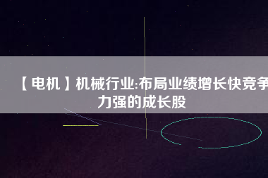 【電機(jī)】機(jī)械行業(yè):布局業(yè)績(jī)?cè)鲩L快競(jìng)爭(zhēng)力強(qiáng)的成長股
          