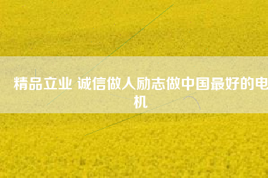 精品立業(yè) 誠信做人勵志做中國最好的電機
          