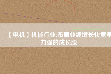 【電機(jī)】機(jī)械行業(yè):布局業(yè)績(jī)?cè)鲩L快競(jìng)爭(zhēng)力強(qiáng)的成長股
          