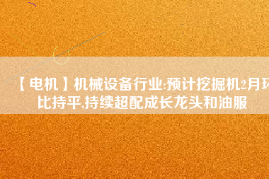 【電機】機械設備行業(yè):預計挖掘機2月環(huán)比持平,持續(xù)超配成長龍頭和油服
          