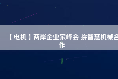 【電機】兩岸企業(yè)家峰會 拚智慧機械合作
          