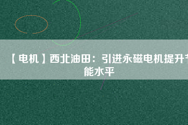 【電機(jī)】西北油田：引進(jìn)永磁電機(jī)提升節(jié)能水平
          