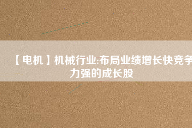 【電機(jī)】機(jī)械行業(yè):布局業(yè)績(jī)?cè)鲩L快競(jìng)爭(zhēng)力強(qiáng)的成長股
          