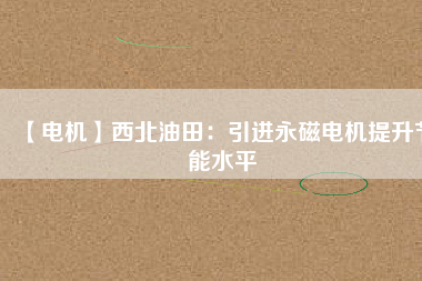 【電機(jī)】西北油田：引進(jìn)永磁電機(jī)提升節(jié)能水平
          