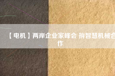 【電機】兩岸企業(yè)家峰會 拚智慧機械合作
          