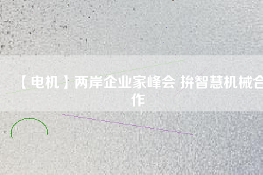 【電機】兩岸企業(yè)家峰會 拚智慧機械合作
          