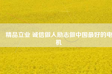 精品立業(yè) 誠信做人勵志做中國最好的電機
          