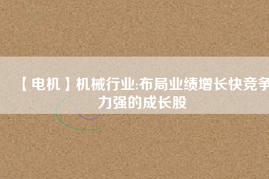 【電機(jī)】機(jī)械行業(yè):布局業(yè)績(jī)?cè)鲩L快競(jìng)爭(zhēng)力強(qiáng)的成長股
          