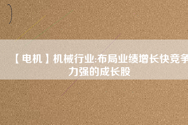 【電機(jī)】機(jī)械行業(yè):布局業(yè)績(jī)?cè)鲩L快競(jìng)爭(zhēng)力強(qiáng)的成長股
          