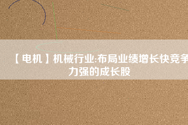 【電機(jī)】機(jī)械行業(yè):布局業(yè)績(jī)?cè)鲩L快競(jìng)爭(zhēng)力強(qiáng)的成長股
          