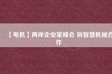 【電機】兩岸企業(yè)家峰會 拚智慧機械合作
          