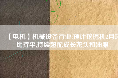 【電機】機械設備行業(yè):預計挖掘機2月環(huán)比持平,持續(xù)超配成長龍頭和油服
          