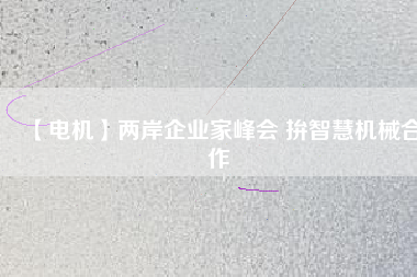 【電機】兩岸企業(yè)家峰會 拚智慧機械合作
          