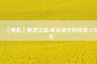 【電機(jī)】黑龍江省5年完成水利投資767億元
          