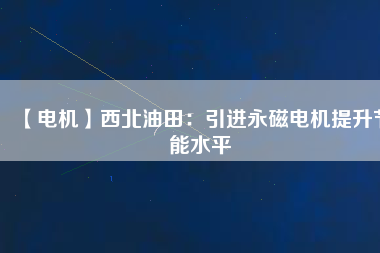 【電機(jī)】西北油田：引進(jìn)永磁電機(jī)提升節(jié)能水平
          