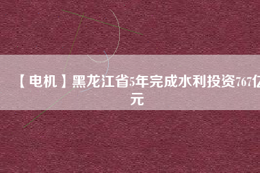 【電機(jī)】黑龍江省5年完成水利投資767億元
          