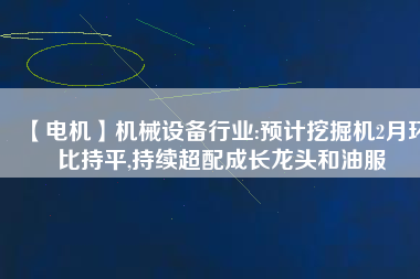 【電機】機械設備行業(yè):預計挖掘機2月環(huán)比持平,持續(xù)超配成長龍頭和油服
          