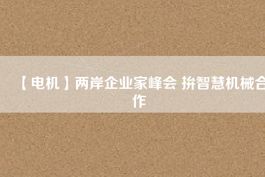 【電機】兩岸企業(yè)家峰會 拚智慧機械合作
          