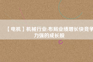 【電機(jī)】機(jī)械行業(yè):布局業(yè)績(jī)?cè)鲩L快競(jìng)爭(zhēng)力強(qiáng)的成長股
          