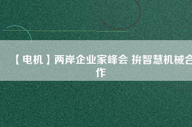 【電機】兩岸企業(yè)家峰會 拚智慧機械合作
          