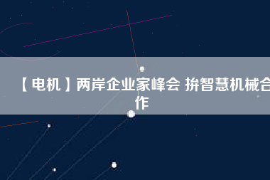 【電機】兩岸企業(yè)家峰會 拚智慧機械合作
          