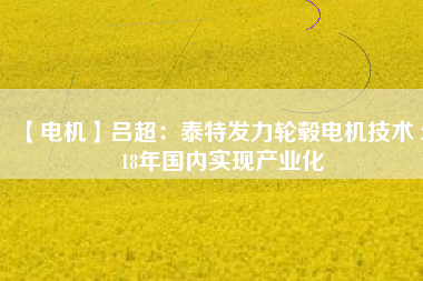 【電機】呂超：泰特發(fā)力輪轂電機技術 2018年國內(nèi)實現(xiàn)產(chǎn)業(yè)化
          